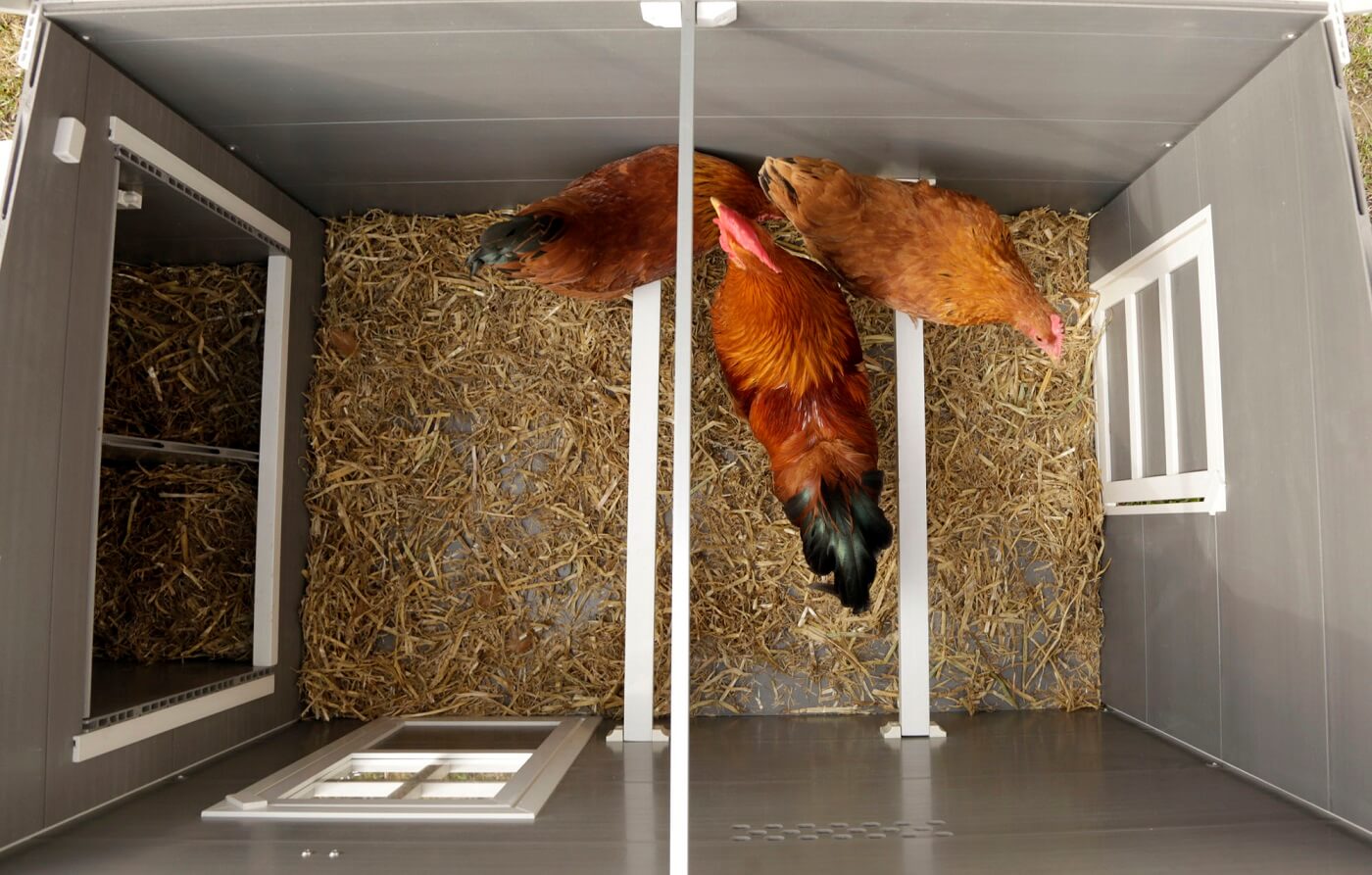 KERBL ECO-Kunststoffstall Barney für Hühner