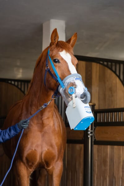 HIPPOMED Akku-Ultraschall-Inhalator für Pferde AirOne Flex inkl. Warmblutmaske
