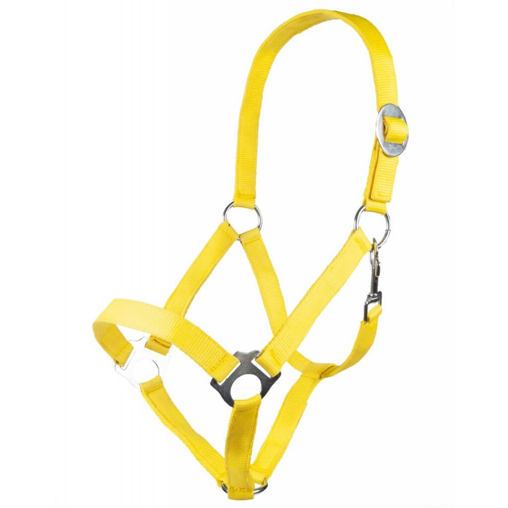 HKM Halfter Stars Economy Softice