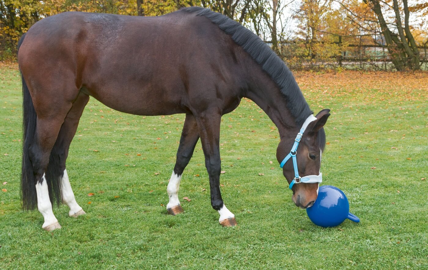 KERBL Spielball für Pferde