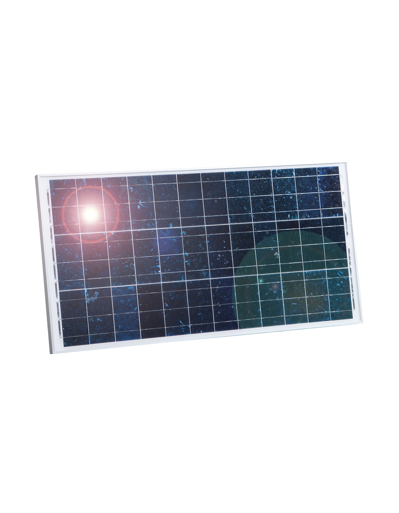 PATURA Solarmodul 65 W