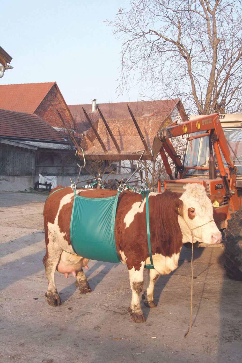 KERBL Kuhhebevorrichtung für Kühe bis 1000 kg