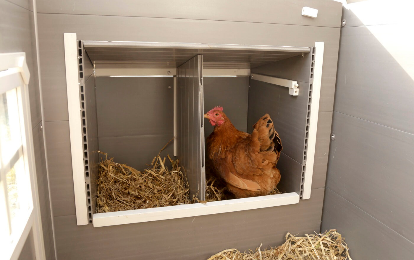 KERBL ECO-Kunststoffstall Barney für Hühner