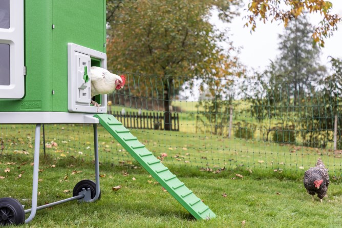 KERBL Mobile Coop Hühnerstall aus Kunststoff