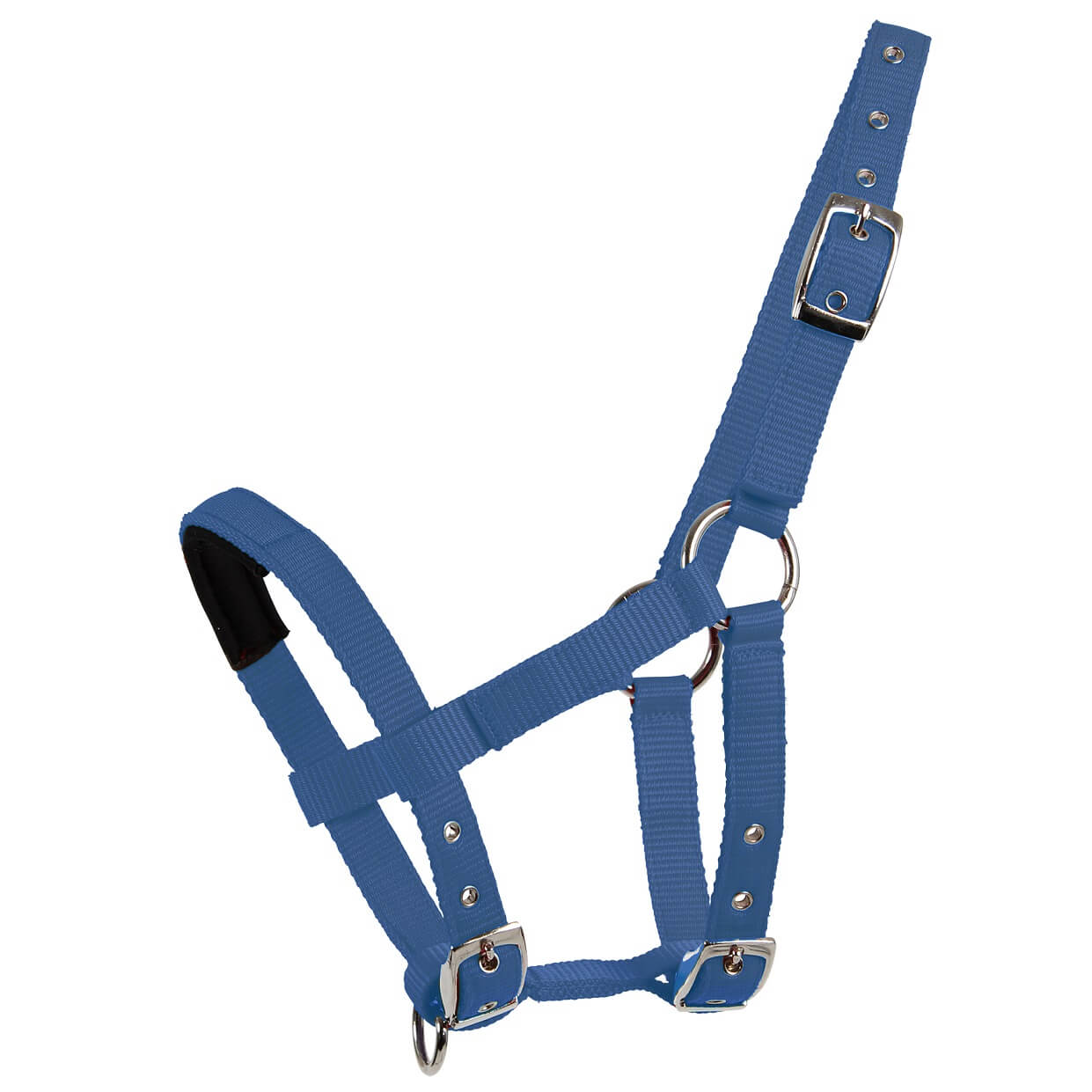 WALDHAUSEN Mini-Shetty Halfter, azurblau