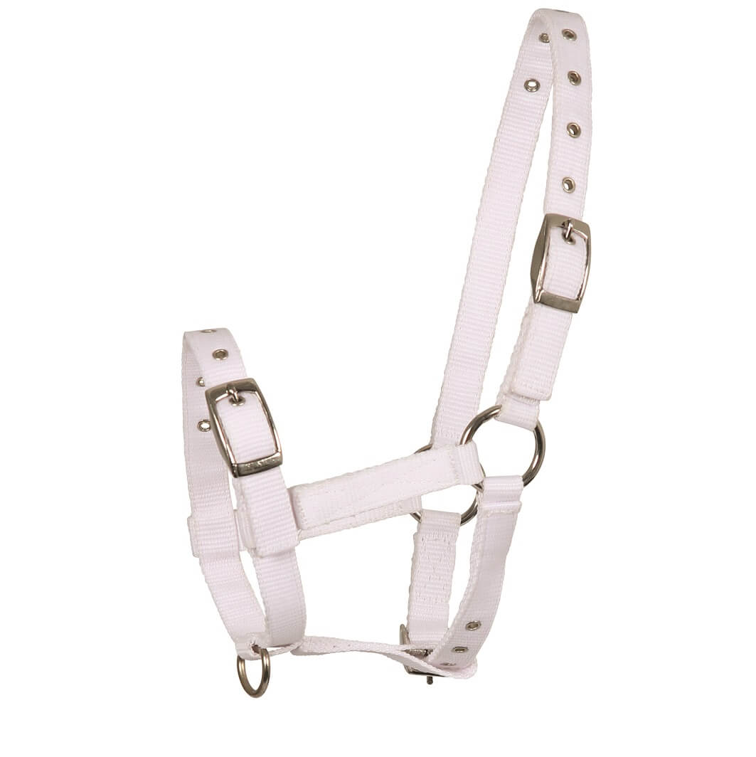 WALDHAUSEN Fohlenhalfter Triple