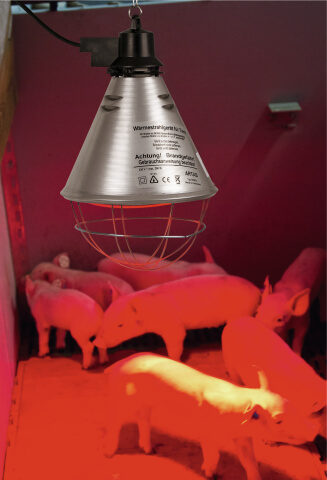 Infrarot Wärmestrahlgerät Schweine