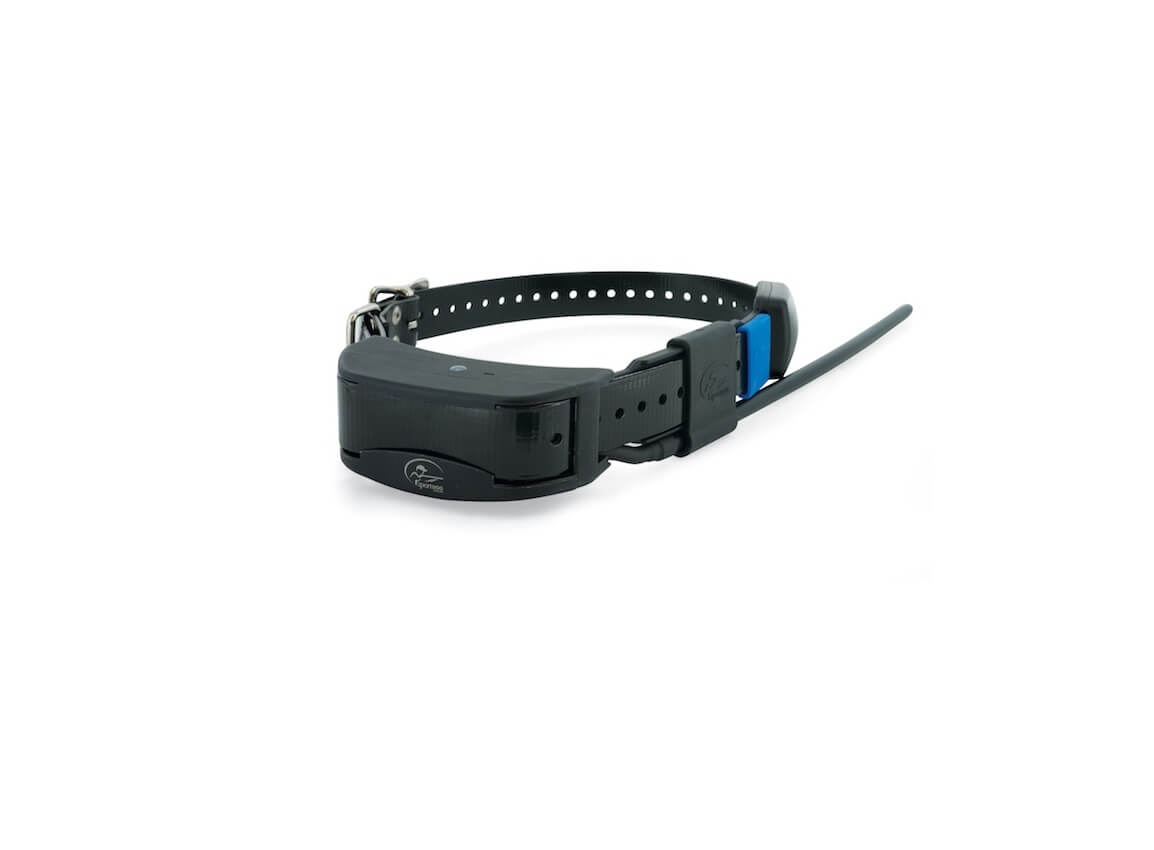 SPORTDOG TEK 2.0 Add-A-Dog GPS + E Halsband 
