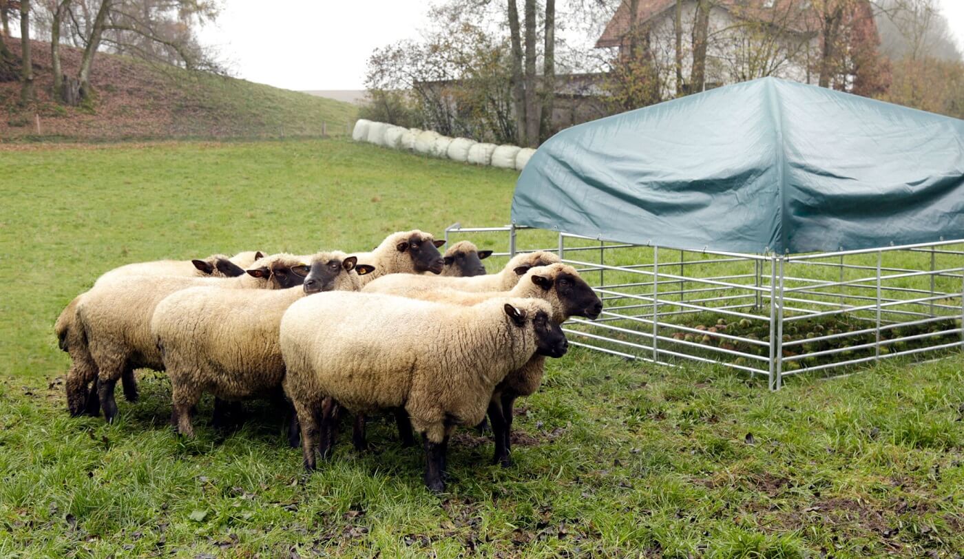 KERBL Weideunterstand Komplettset für Schafe und Ziegen