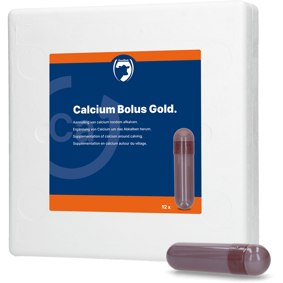 HOLLAND ANIMAL CARE Calcium Bolus Gold 12 Stück
